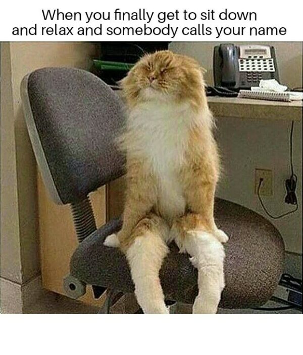 20 Hilarious Relax Memes To Brighten Your Day And Relieve Stress AMJ