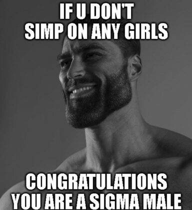 Common Yet Viral Sigma Male Memes That You Need For All The Laughs Amj