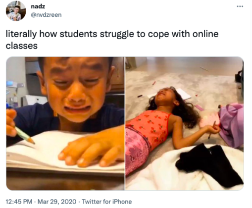 Popular and Creative Online Class Memes Every Student Needs to See - AMJ