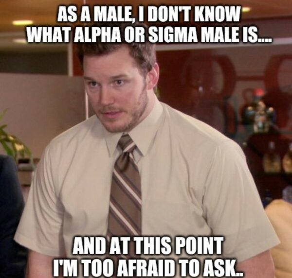 Common Yet Viral Sigma Male Memes That You Need For All The Laughs Amj 5719