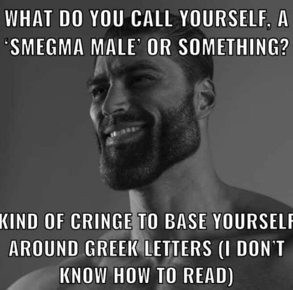 Common Yet Viral Sigma Male Memes That You Need For All The Laughs Amj 1127