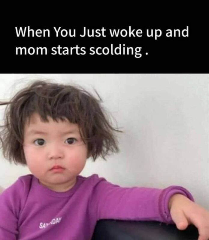 Funny Wake Up Memes for every Late Riser - AMJ