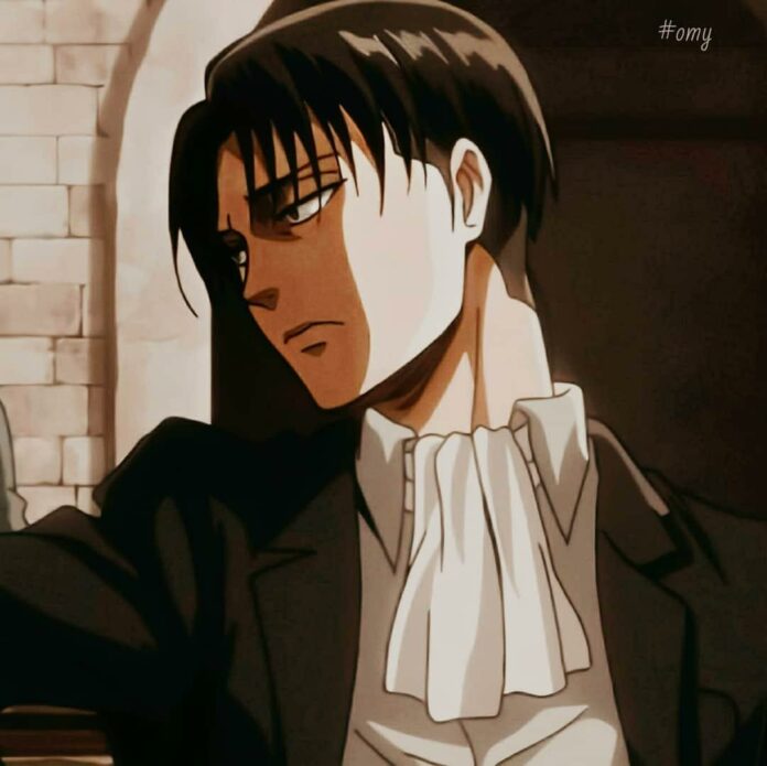 Top Epic Attack on Titan Levi PFPs 2024: Best Profile Pictures for Fans ...