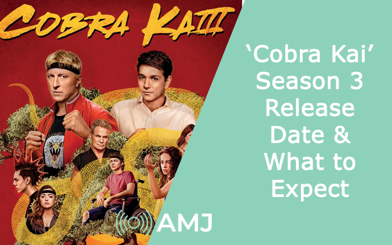 ‘Cobra Kai’ Season 3: Netflix 2021 Release Date & What to Expect - AMJ