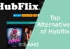 Top Alternatives of Hubflix