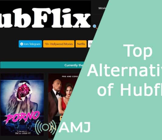 Top Alternatives of Hubflix