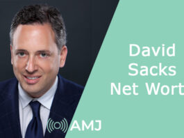 David Sacks Net Worth