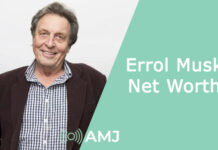 Errol Musk Net Worth