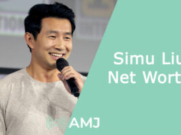 Simu Liu Net Worth