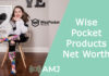 Wise Pocket Products Net Worth