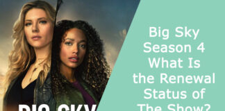 Big Sky Season 4 – What Is the Renewal Status of The Show?