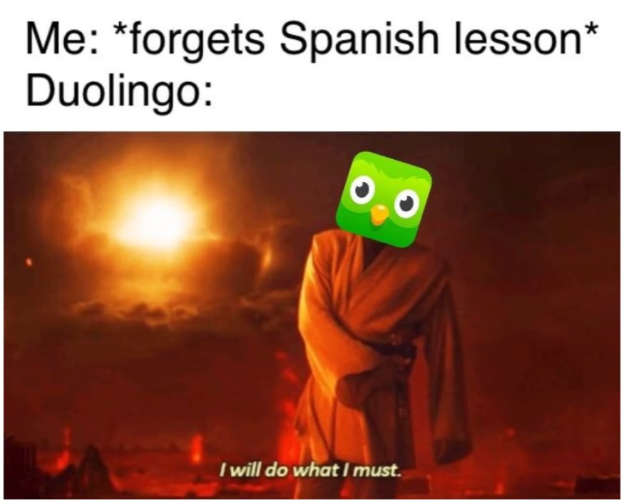 Duolingo Memes