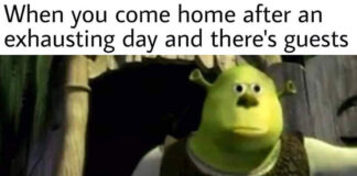 Shrek Funny Viral Memes