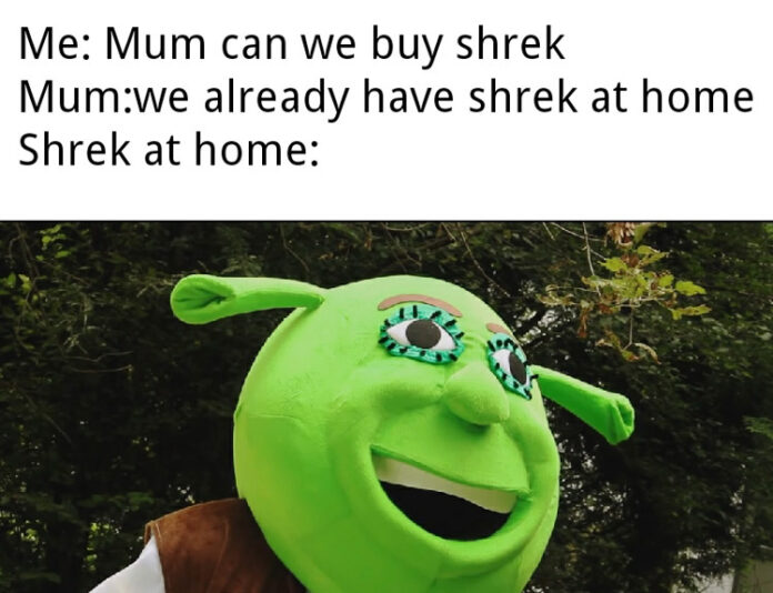 Best Shrek Memes The Internet Made Popular - AMJ