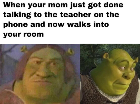 Best Shrek Memes The Internet Made Popular - AMJ