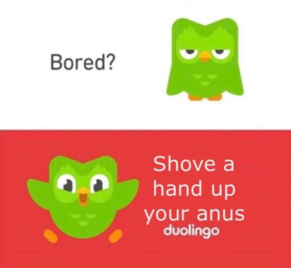 25 Funny Duolingo Memes That Are Slightly Threatening - AMJ