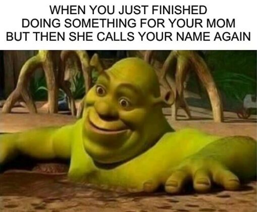 Best Shrek Memes The Internet Made Popular - AMJ