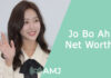 Jo Bo Ah Net Worth