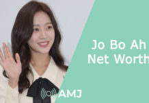 Jo Bo Ah Net Worth