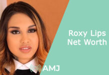 Roxy Lips Net Worth