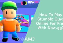 How To Play Stumble Guys Online For Free With Now.gg?