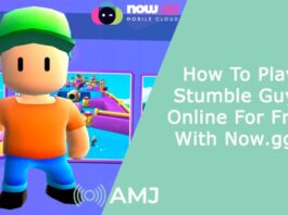 How To Play Stumble Guys Online For Free With Now.gg?