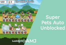 Super Pets Auto Unblocked