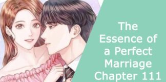 The Essence of a Perfect Marriage Chapter 111