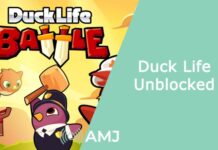 Duck Life Unblocked