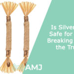 Is Silvervine Safe for Dogs – Breaking Down the Truth