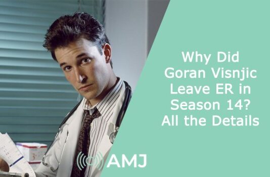 Why Did Goran Visnjic Leave ER in Season 14? All the Details