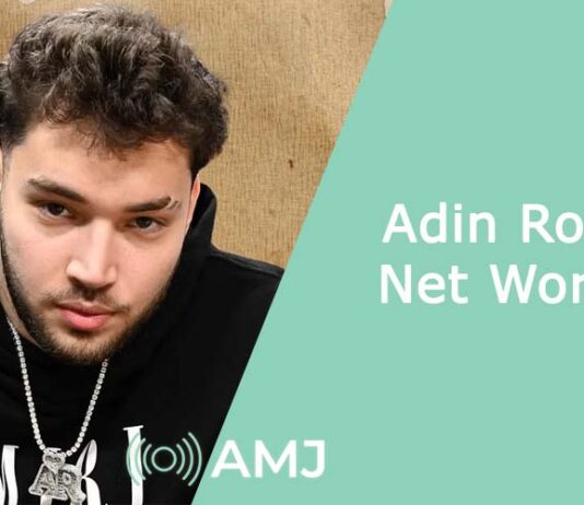 Adin Ross Net Worth