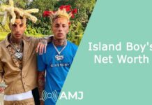 Island Boy's Net Worth