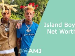 Island Boy's Net Worth