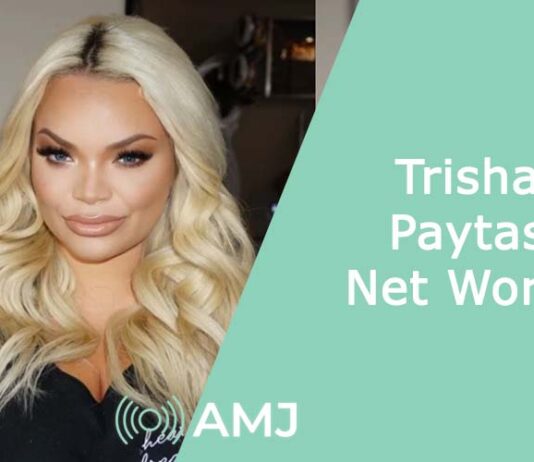 Trisha Paytas Net Worth