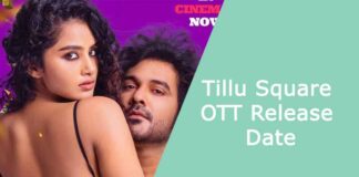Tillu Square OTT Release Date