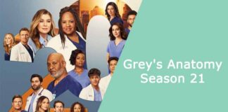 Grey's Anatomy Season 21