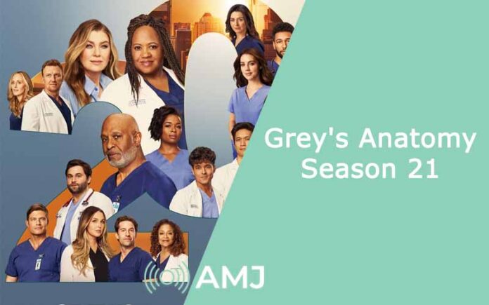 Grey's Anatomy Season 21