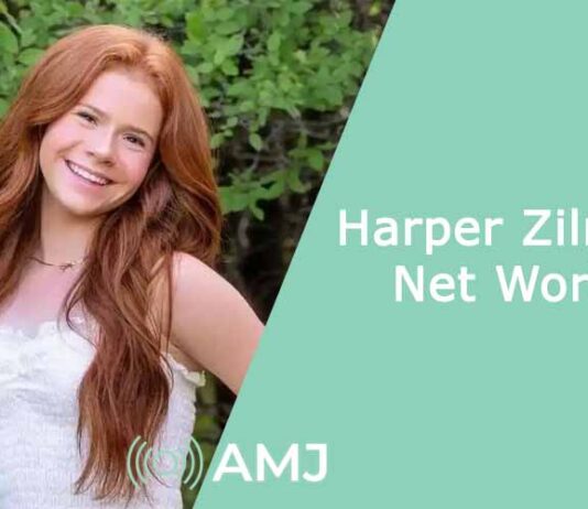 Harper Zilmer Net Worth