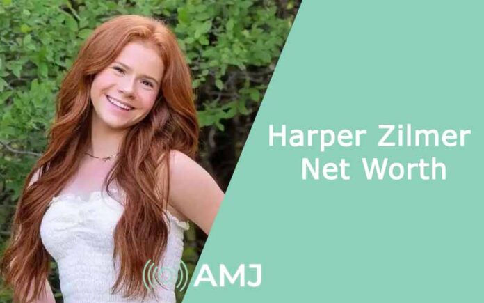 Harper Zilmer Net Worth