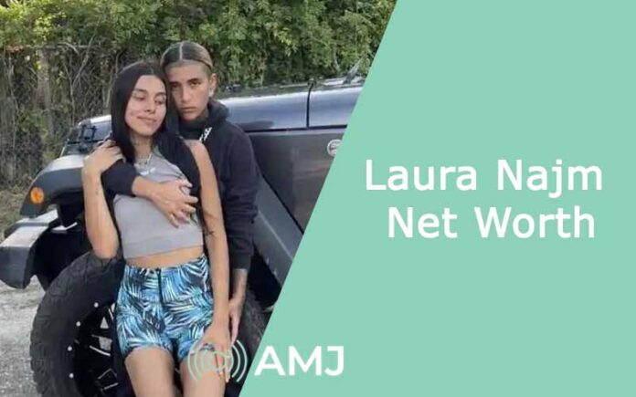 Laura Najm Net Worth