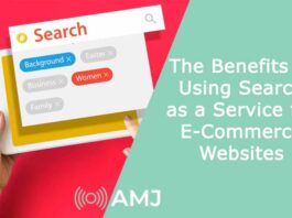 The Benefits of Using Search as a Service for E-Commerce Websites