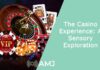 The Casino Experience