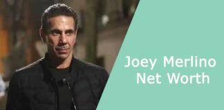 joey merlino net worth