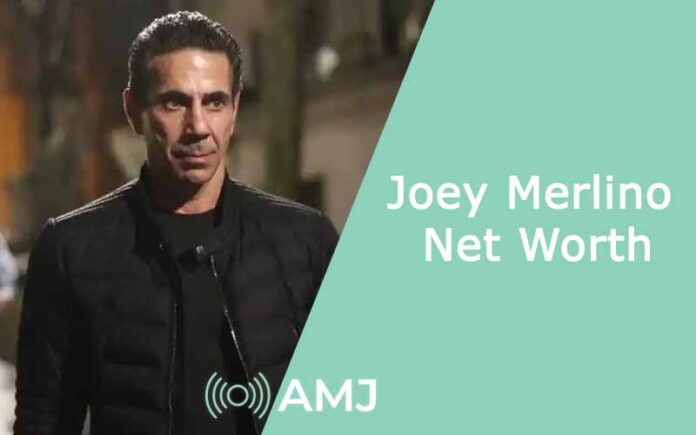 joey merlino net worth