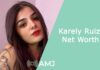 karely ruiz net worth