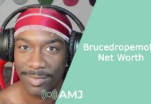 Brucedropemoff Net Worth