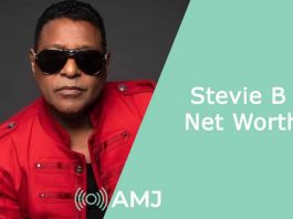 Stevie B Net Worth