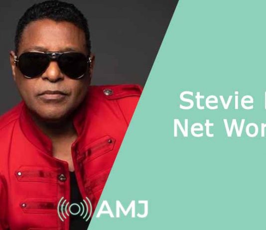 Stevie B Net Worth