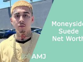 Moneyside Suede Net Worth